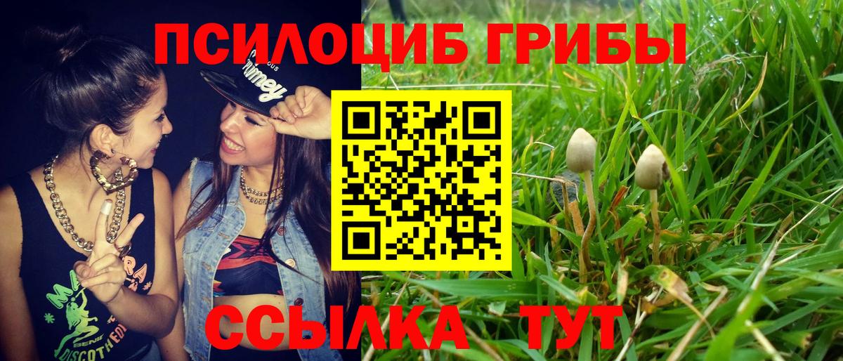 Псилоцибиновые грибы мицелий Биробиджан